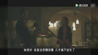 国产电影杨树解说视频下载,国产电影深度解析之旅