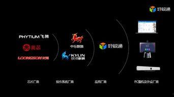 国产自主可控视频