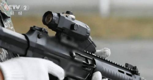 国产新枪评测视频,性能解析与实战体验全解析