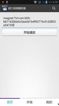 国产mp4视频磁力链接,磁力链接解锁精彩视频世界