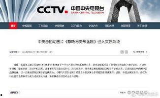 国产资源视频网站,本土影视文化的盛宴与探索