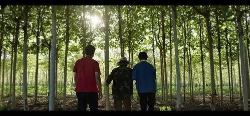 色多视频国产剧情,色多世界，情感交织的视觉盛宴