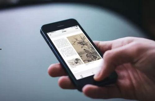 国产福利视频6k,视觉盛宴，尽享高清视听体验